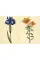 The Green Florilegium