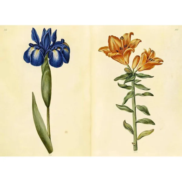 The Green Florilegium