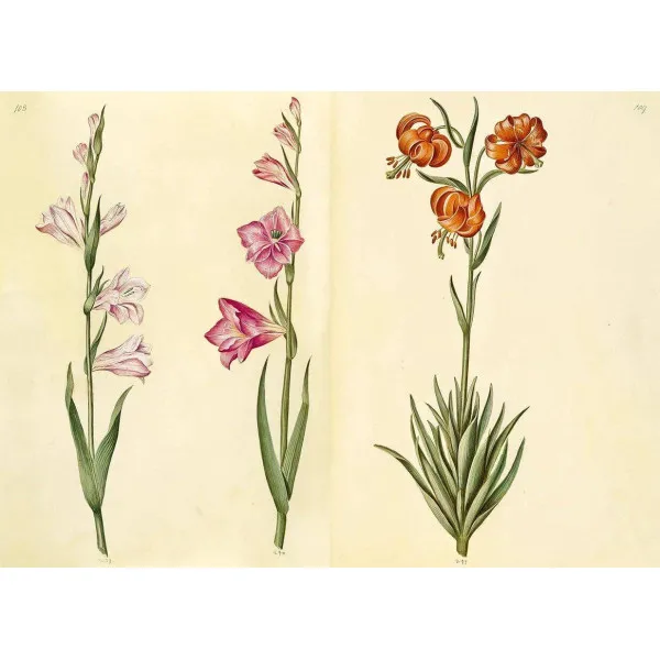 The Green Florilegium