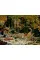 James Tissot. Melissa E. Buron