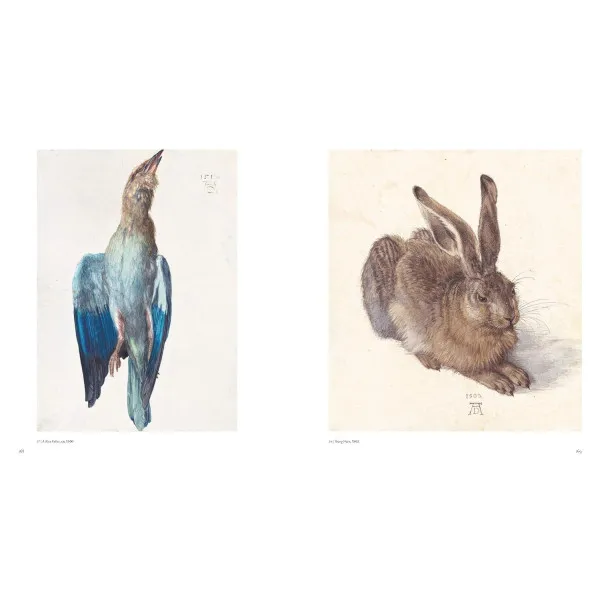 Albrecht Durer