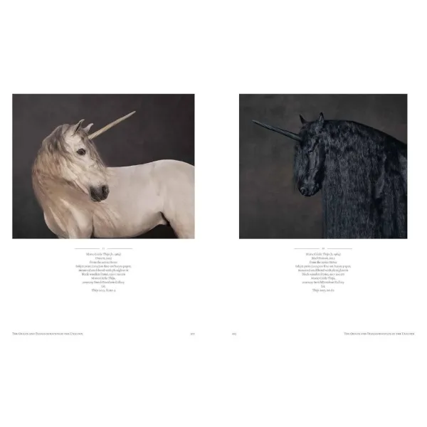 Unicorn. The Mythical Beast in Art