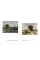 Carl Schuch and France