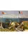 Monet: The Pop-Up Book