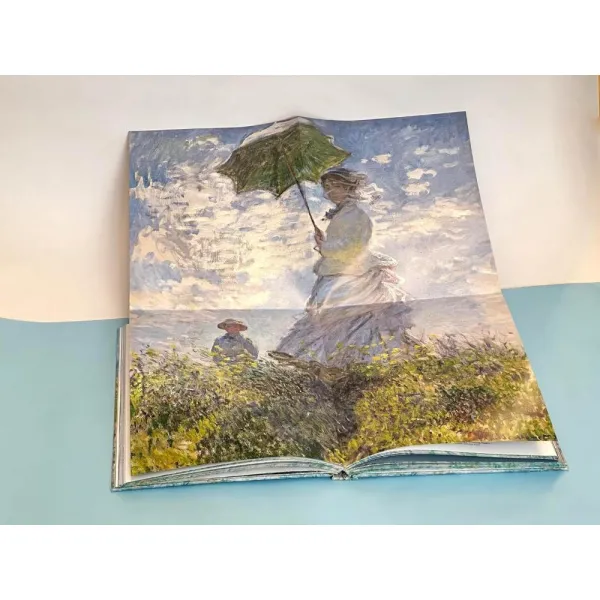 Monet. The Bigger Picture