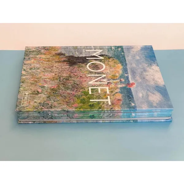 Monet. The Bigger Picture