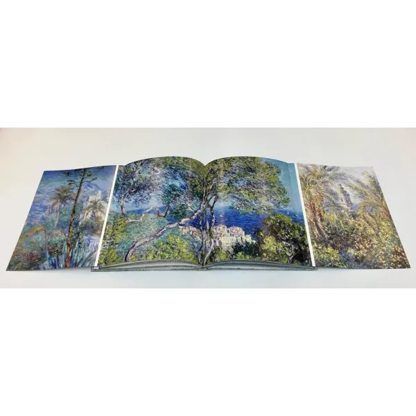 Monet. The Bigger Picture