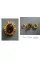 25,000 Years of Jewelry