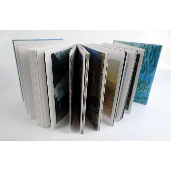 Monet: The Essential Paintings