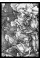 Albrecht Durer. Catalogue of the Paintings