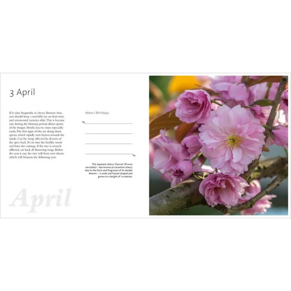 Year in the Garden