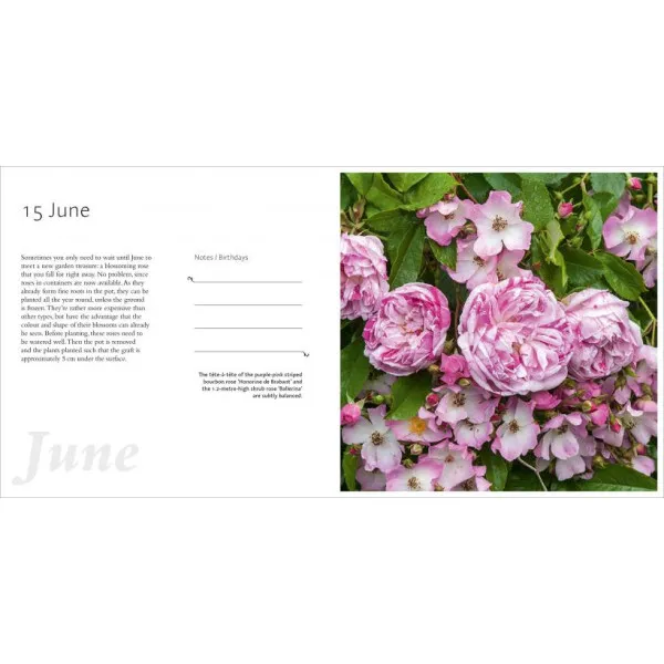 Year in the Garden