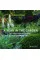 Year in the Garden
