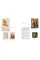 Leonardo da Vinci: The Complete Paintings in Detail