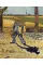 Vincent Van Gogh