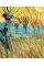 Vincent Van Gogh