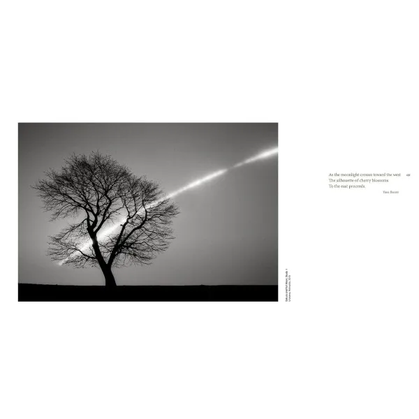 Forms of Japan: Michael Kenna