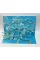 Van Gogh. The Pop-Up Book