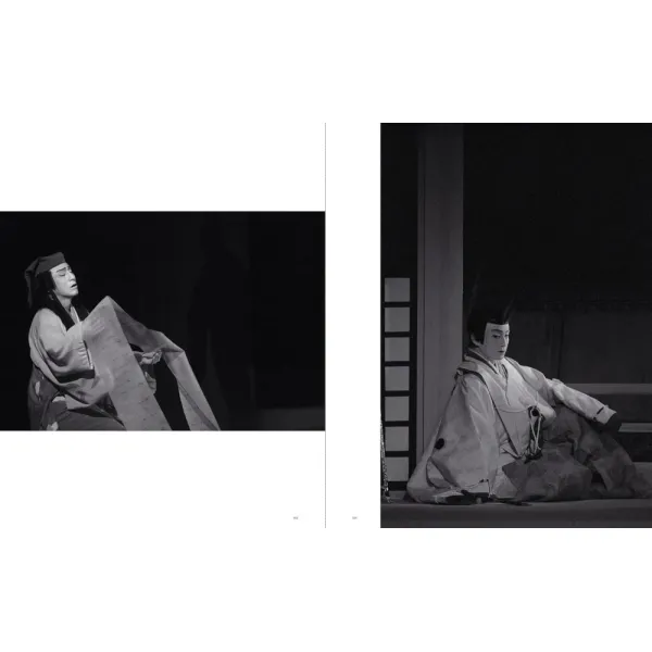 Sakiko Nomura. Tender Is the Night