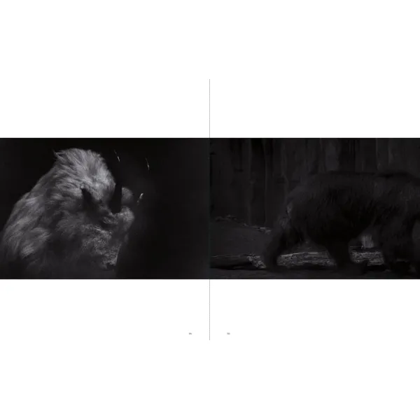 Sakiko Nomura. Tender Is the Night
