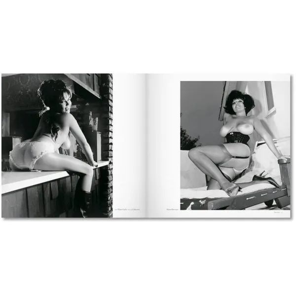 The Big Book of Breasts