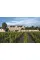 The Grand Chateaux of Bordeaux