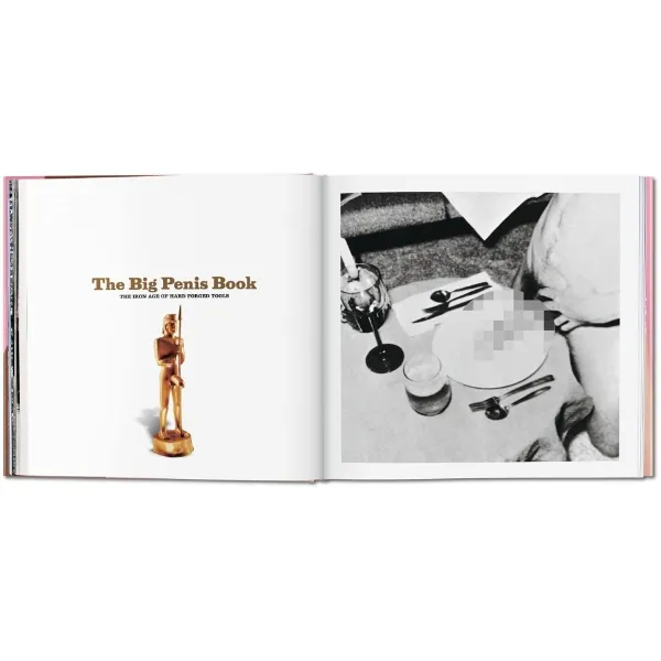 The Big Penis Book