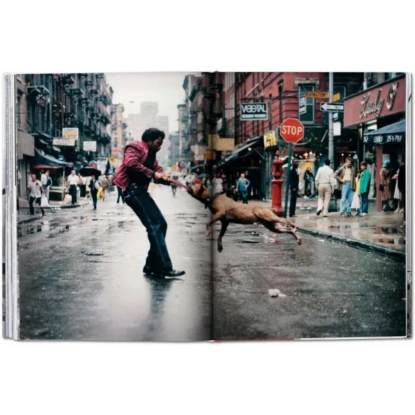 New York. Portrait of a City