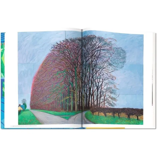 David Hockney. A Bigger Book