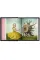 Mark Ryden. Pinxit (on request)