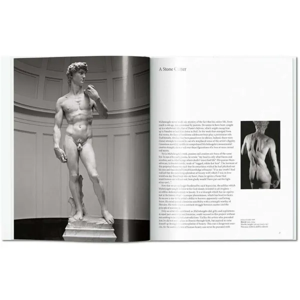 Michelangelo. Basic Art Series