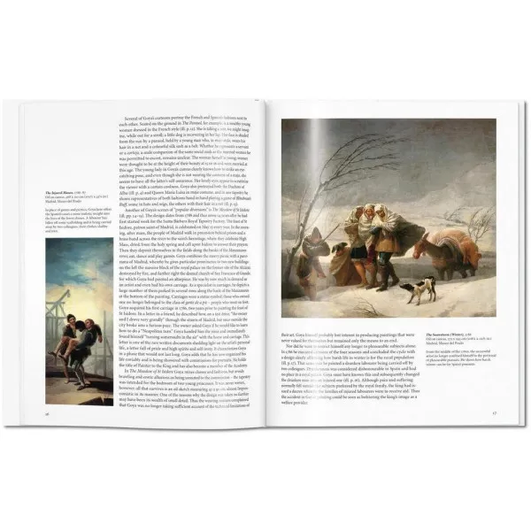 Goya. Basic Art Series