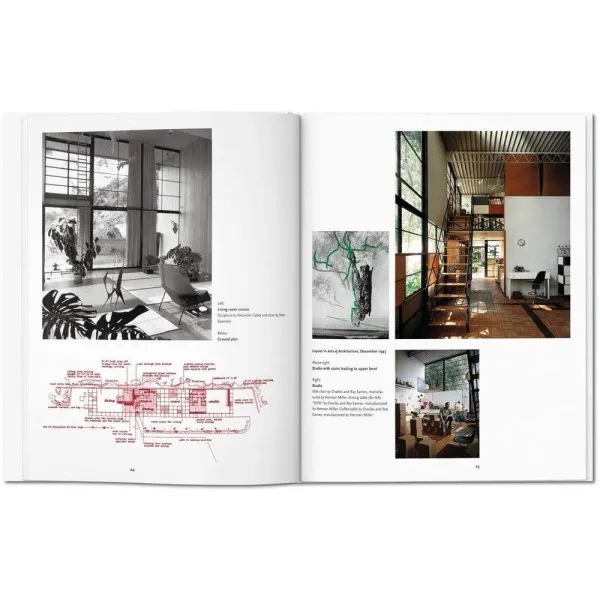 Case Study Houses. Basic Art Series 