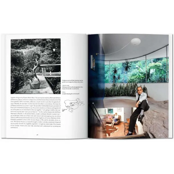 Niemeyer. Basic Art Series