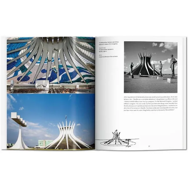 Niemeyer. Basic Art Series