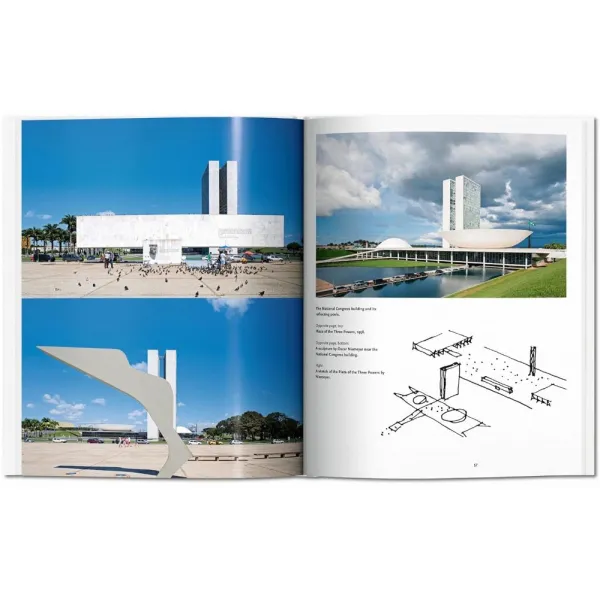 Niemeyer. Basic Art Series