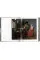 Vermeer: The Complete Works
