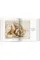 Michelangelo. The Graphic Work