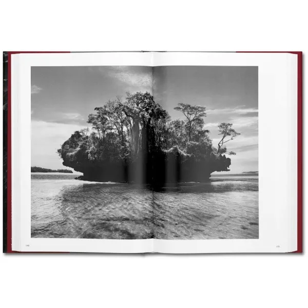 Sebastião Salgado. GENESIS