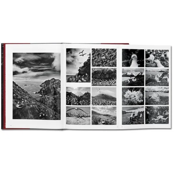 Sebastião Salgado. GENESIS