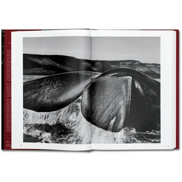 Sebastião Salgado. GENESIS