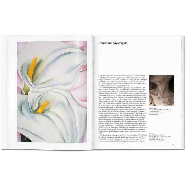 O'Keeffe. Basic Art Series