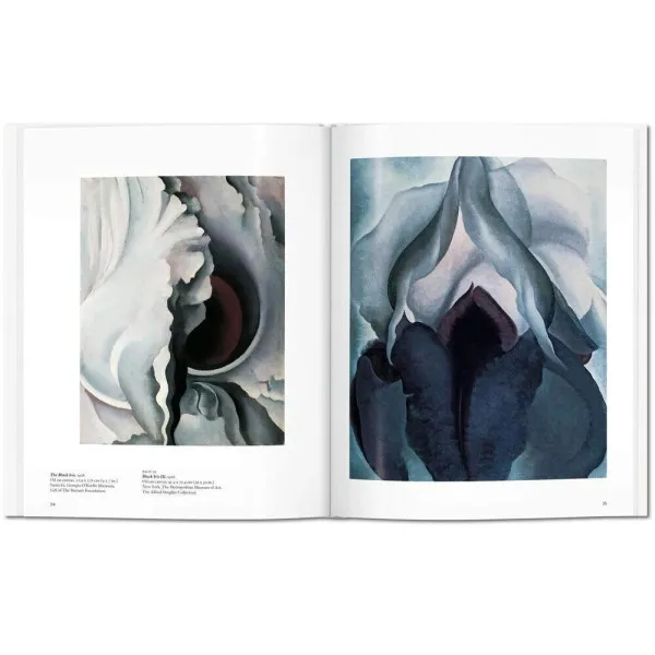 O'Keeffe. Basic Art Series