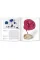Yves Klein. Basic Art Series