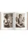 1000 Nudes. A History of Erotic Photography from 1839-1939
