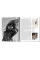 Rodin. Basic Art Series