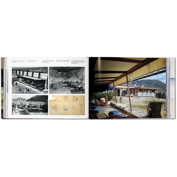 Frank Lloyd Wright