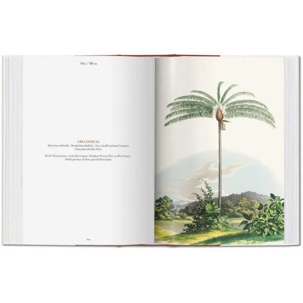 Martius. The Book of Palms