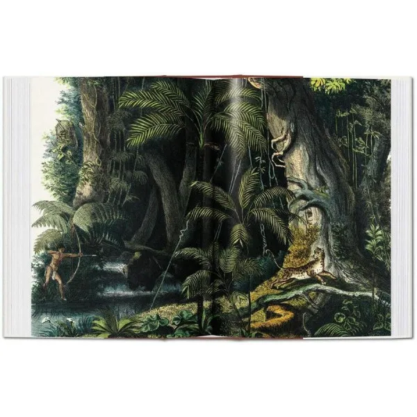 Martius. The Book of Palms