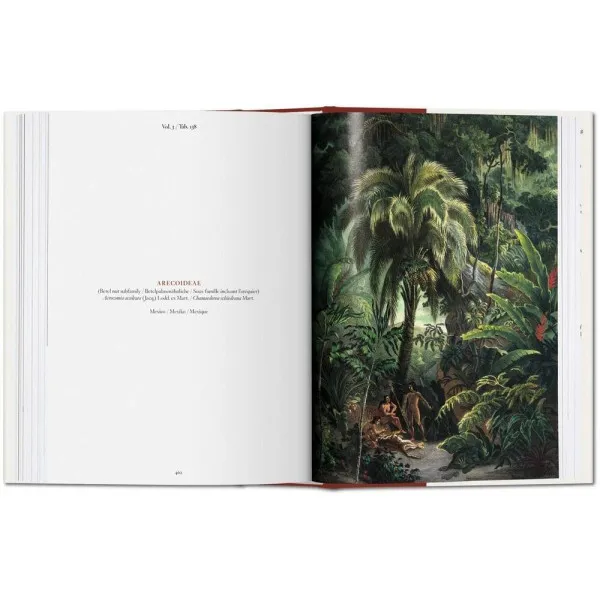 Martius. The Book of Palms